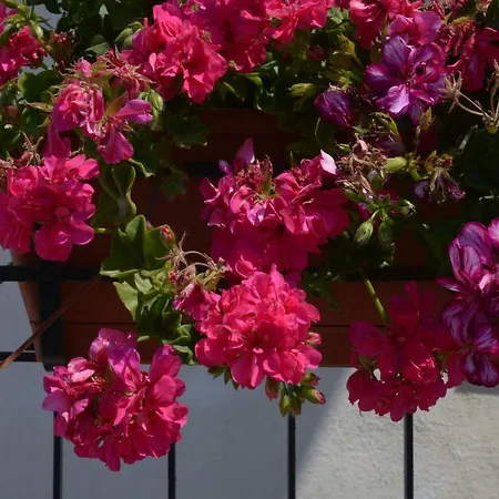 Bed & Breakfast Caffelletto - Papardo